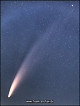 Komet NeoWise in der Morgendämmerung